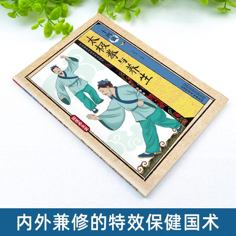 24 Style Tai Chi i ćwiczenia z – Health & Wellness Vector recenzja i cena